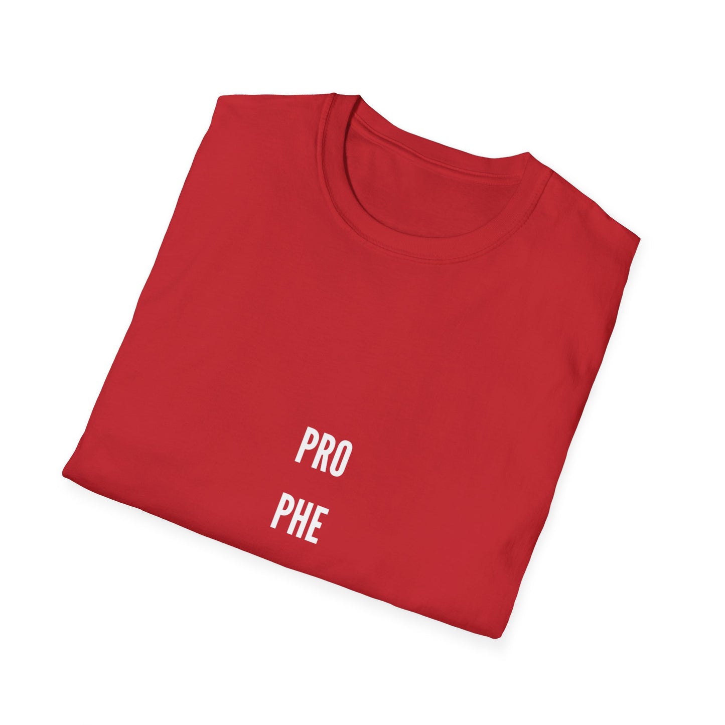 Unisex Graphic Tee - 'PROPHETIC', Softstyle T-shirt for Trendsetters, Gift for Birthdays, Casual Wear, Spiritual Apparel